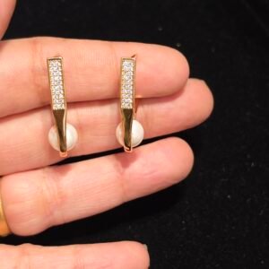 ANTI TRANISH EARINGS